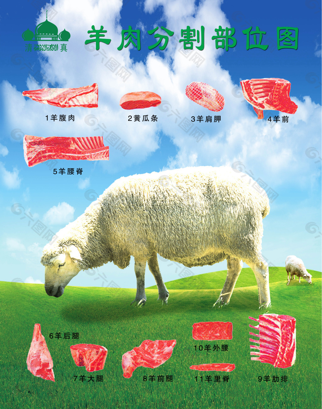 羊肉分割图平面广告素材免费下载(图片编号:5488541)
