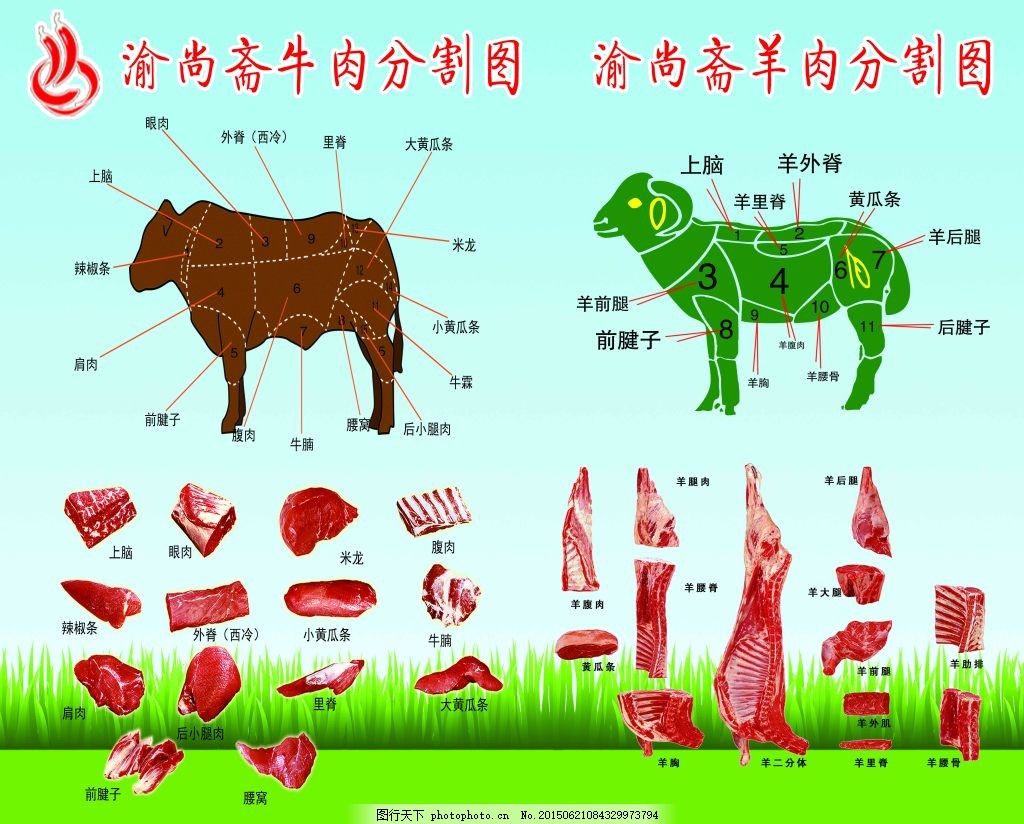 牛羊肉分割图